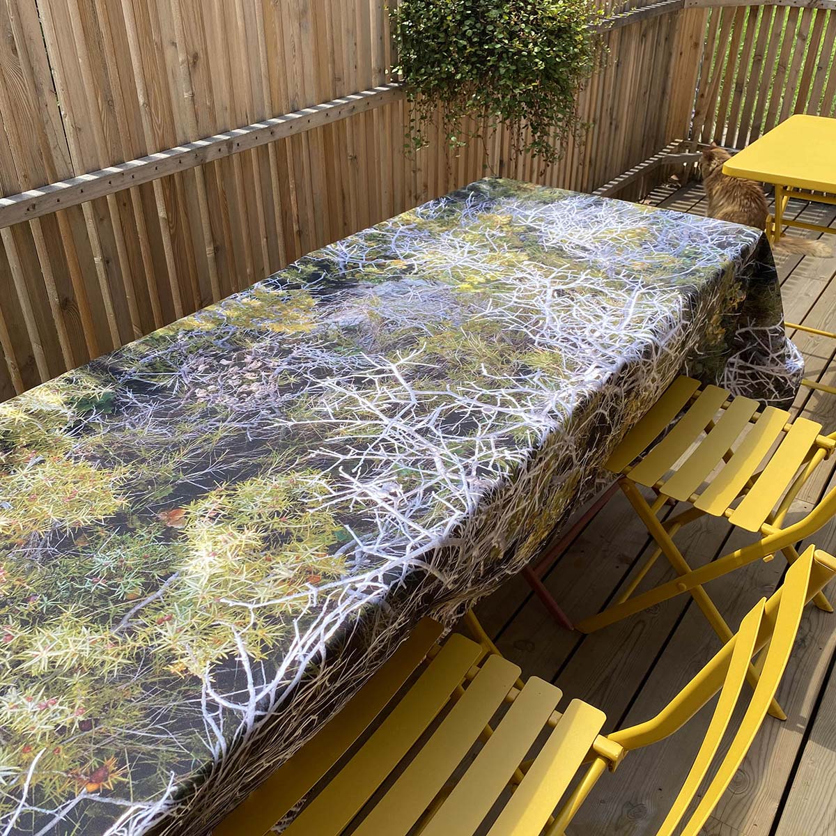 baux-de-provence-nappe-vegetale-bruniau-dupont