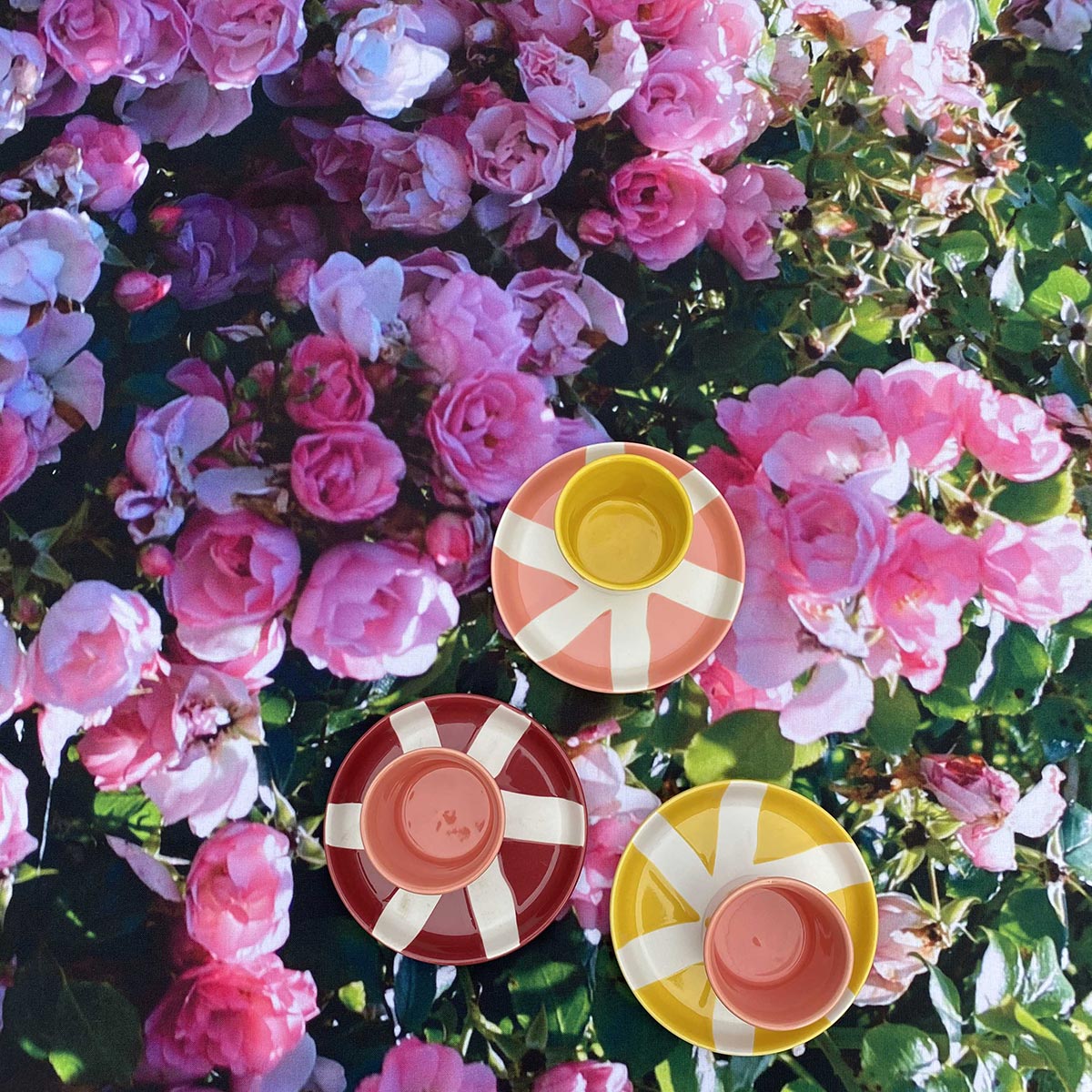 nappe-vegetale-roseraie-christine-bruniau-dupont-guethary-2