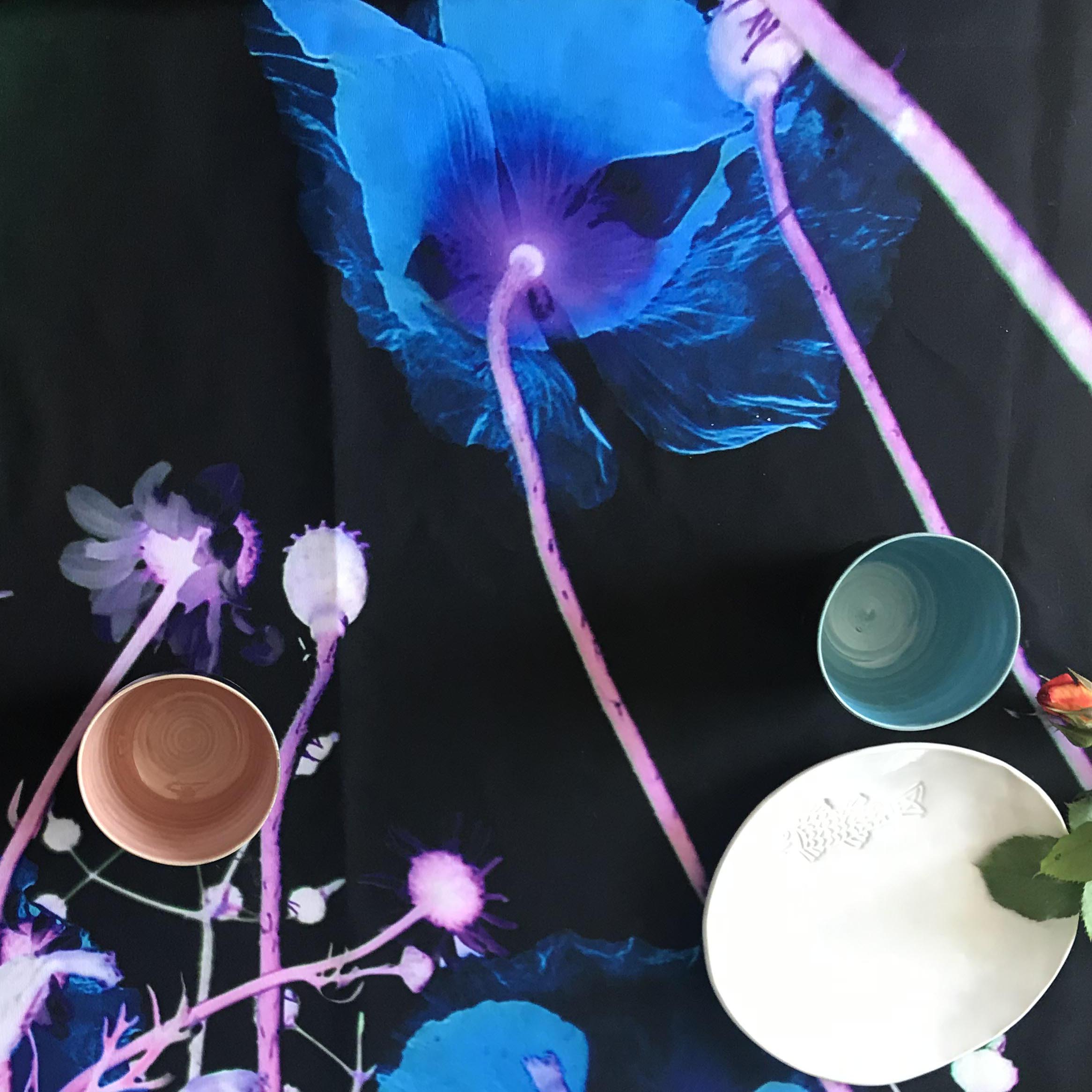 nappe-vegetale-ciel-vert-11